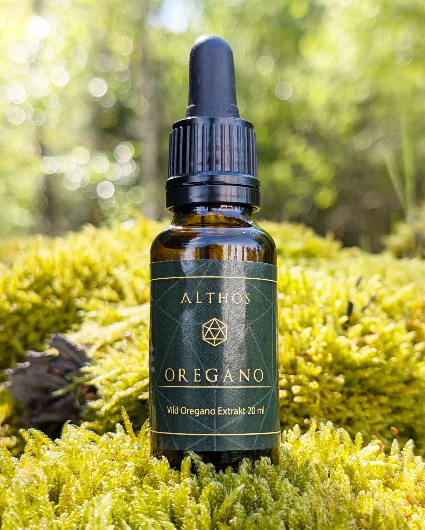 Vild oregano - stark