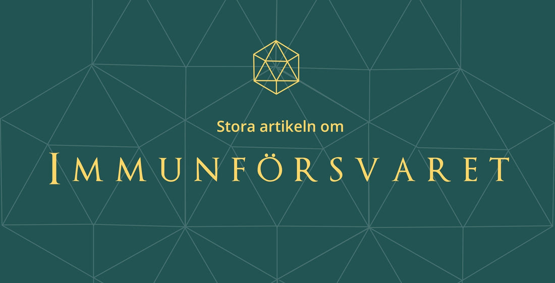 Stora artikeln om Immunförsvaret
