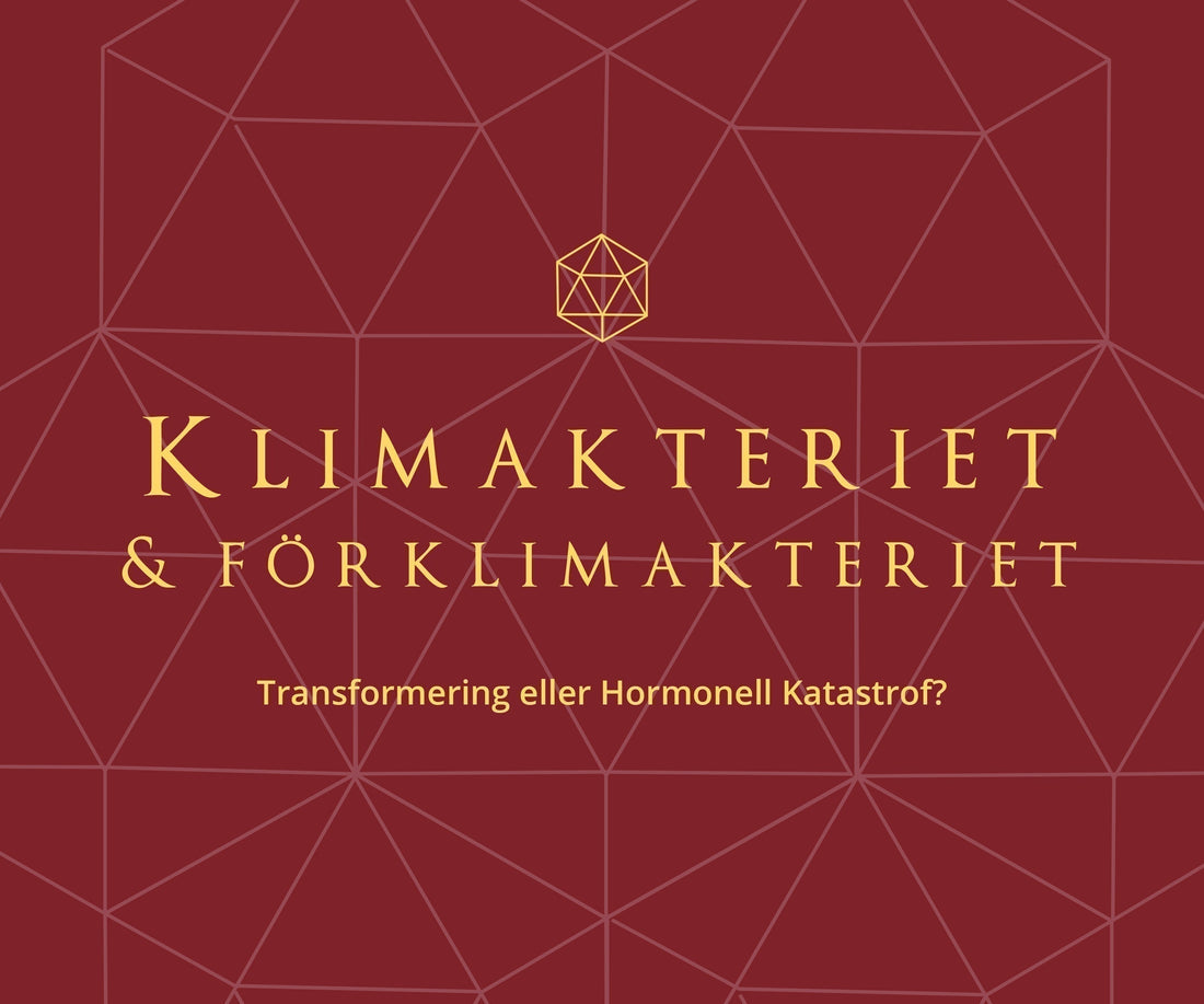 Stora artikeln om Klimakteriet