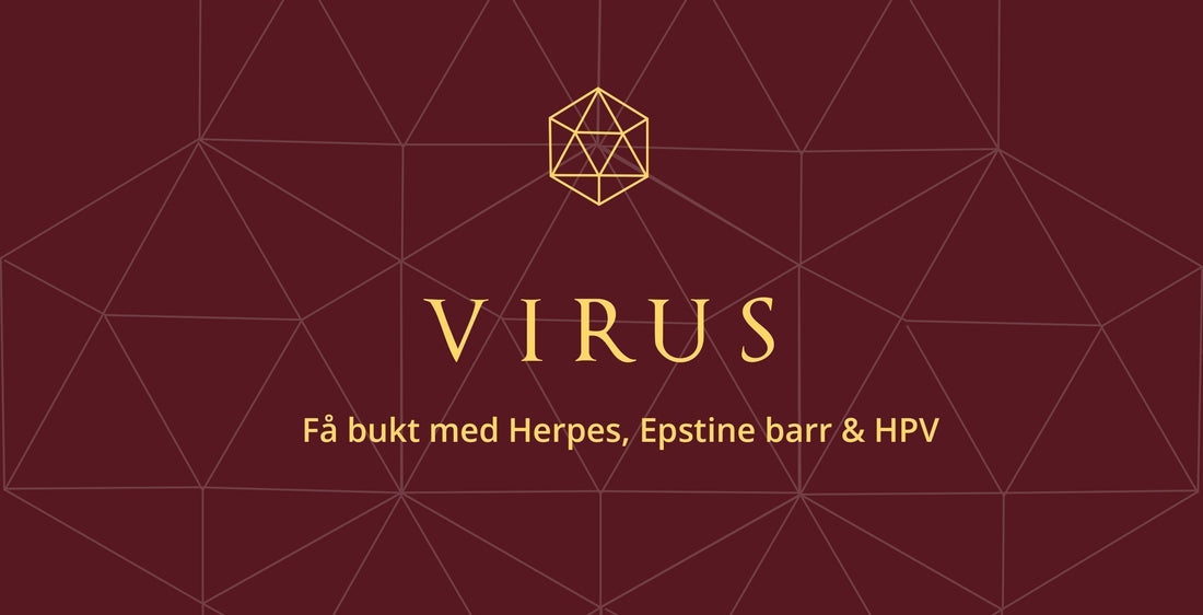 Få bukt med bråkiga virus - Herpes, Epstein Barr & HPV